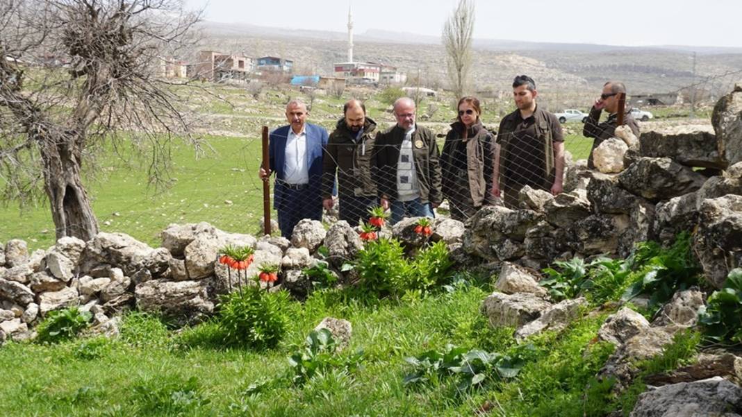 Bu insanlar neye bakıyor? Gece-gündüz nöbet tutuyorlar, ilk kez görenler şaştı kaldı! 16